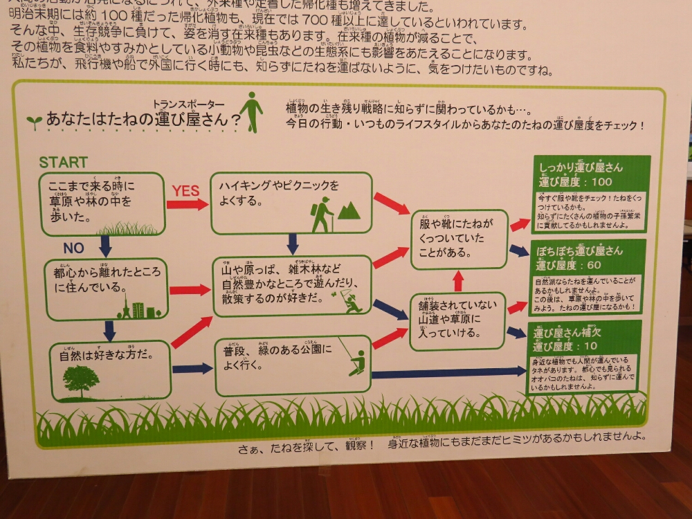 f:id:jerich:20190501181922j:plain
