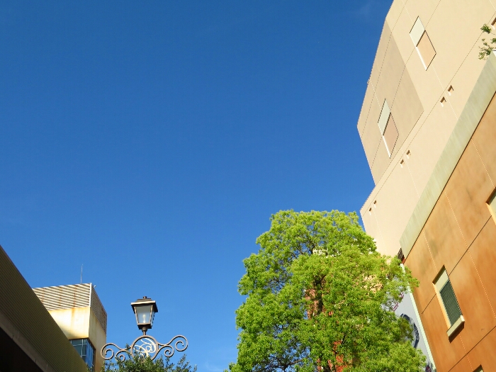 f:id:jerich:20190504001502j:plain f:id:jerich:20190504001502j:plain