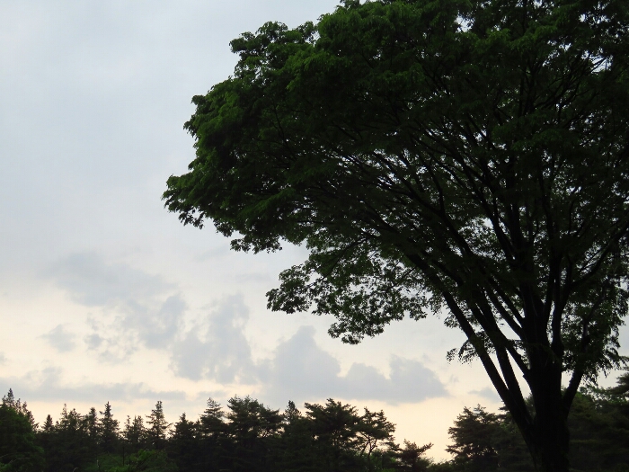 f:id:jerich:20190508235815j:plain