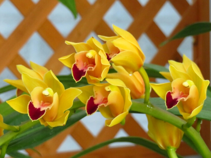 f:id:jerich:20190509001627j:plain