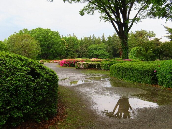 f:id:jerich:20190509070603j:plain