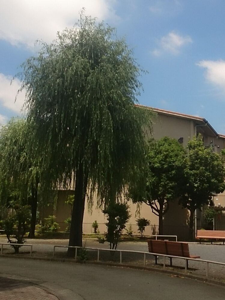 f:id:jerich:20190605214800j:plain