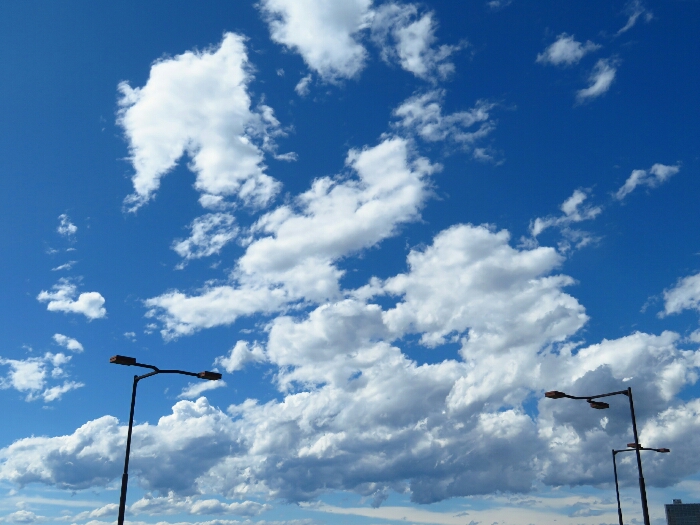 f:id:jerich:20190619182637j:plain f:id:jerich:20190619182637j:plain