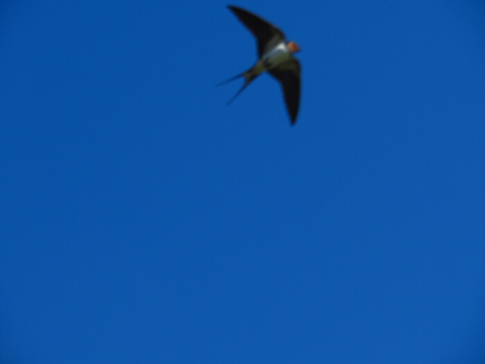 f:id:jerich:20190619183603j:plain f:id:jerich:20190619183603j:plain