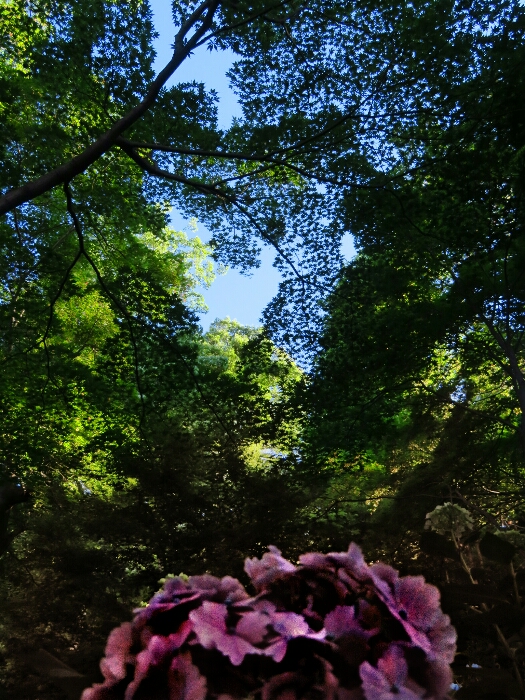 f:id:jerich:20190619232656j:plain