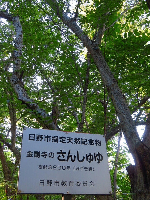 f:id:jerich:20190619235120j:plain
