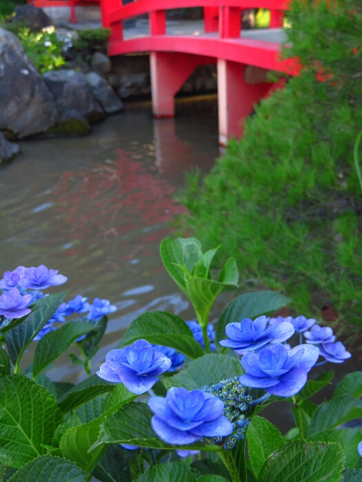 f:id:jerich:20190620011206j:plain