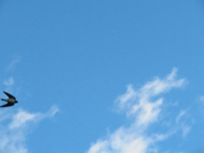 f:id:jerich:20190622233213j:plain f:id:jerich:20190622233213j:plain
