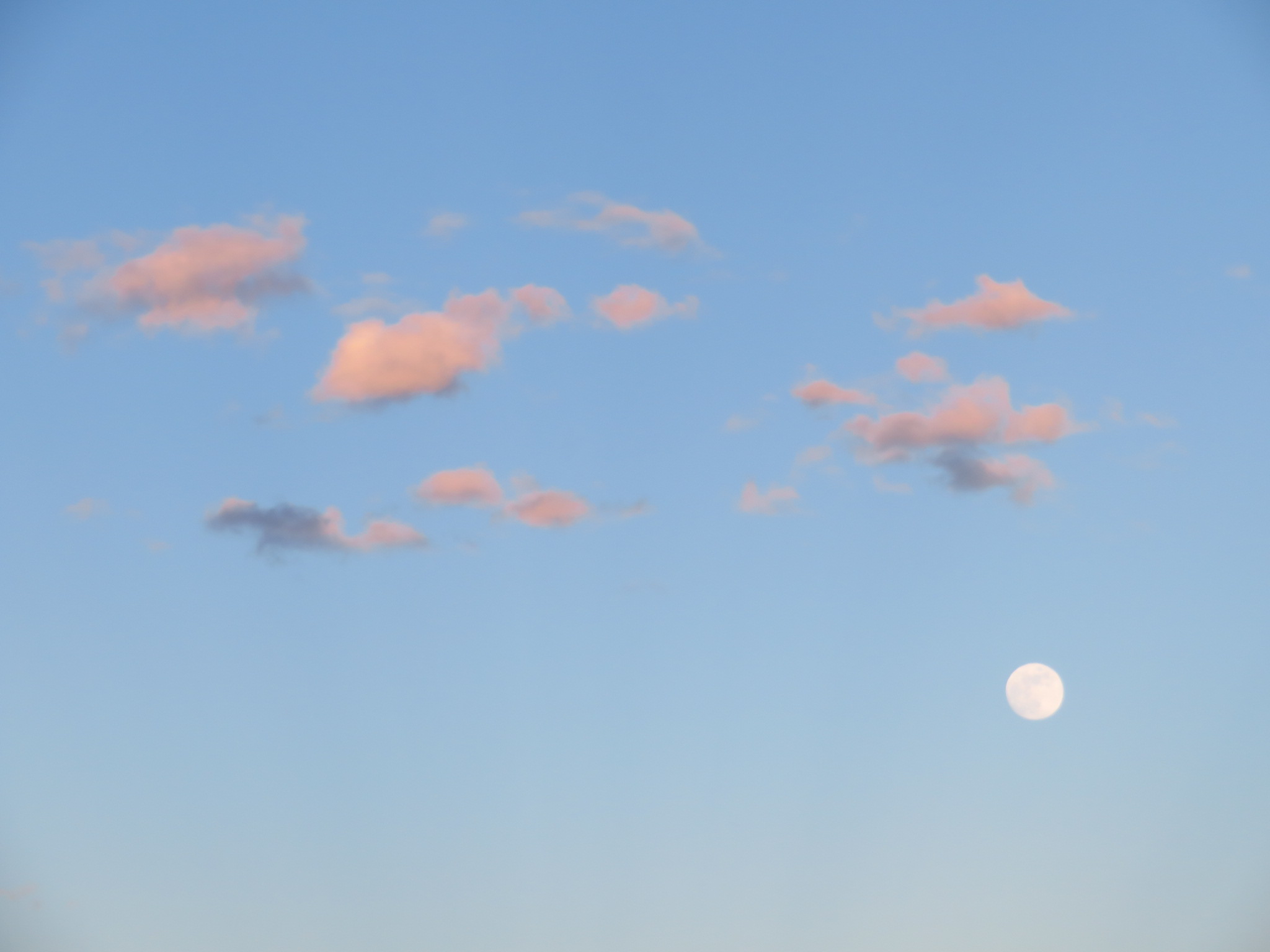 f:id:jerich:20190623003224j:image