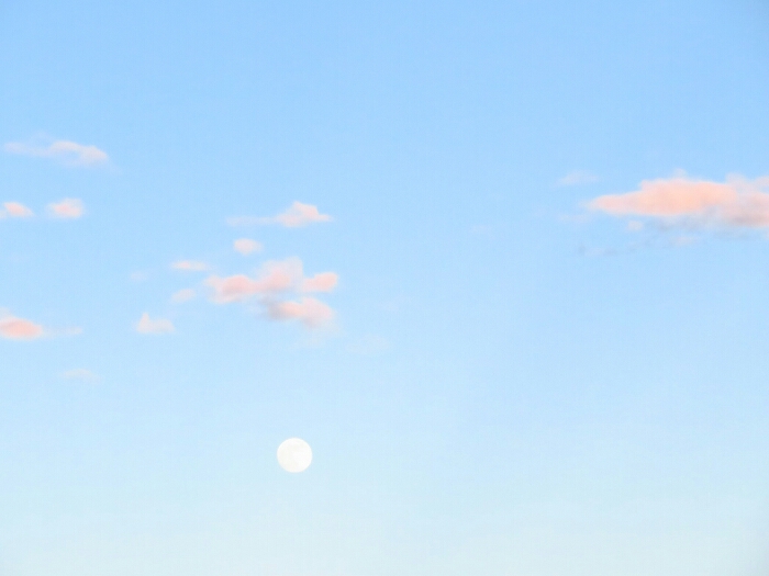 f:id:jerich:20190623072000j:plain f:id:jerich:20190623072000j:plain
