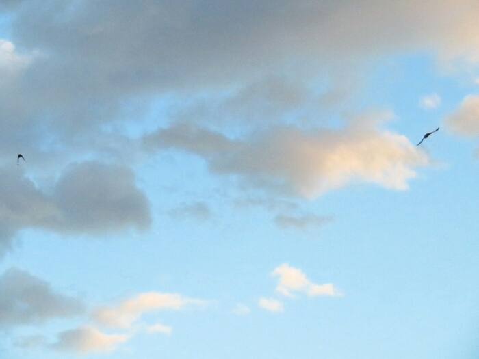 f:id:jerich:20190623072039j:plain f:id:jerich:20190623072039j:plain