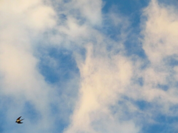 f:id:jerich:20190623072049j:plain f:id:jerich:20190623072049j:plain
