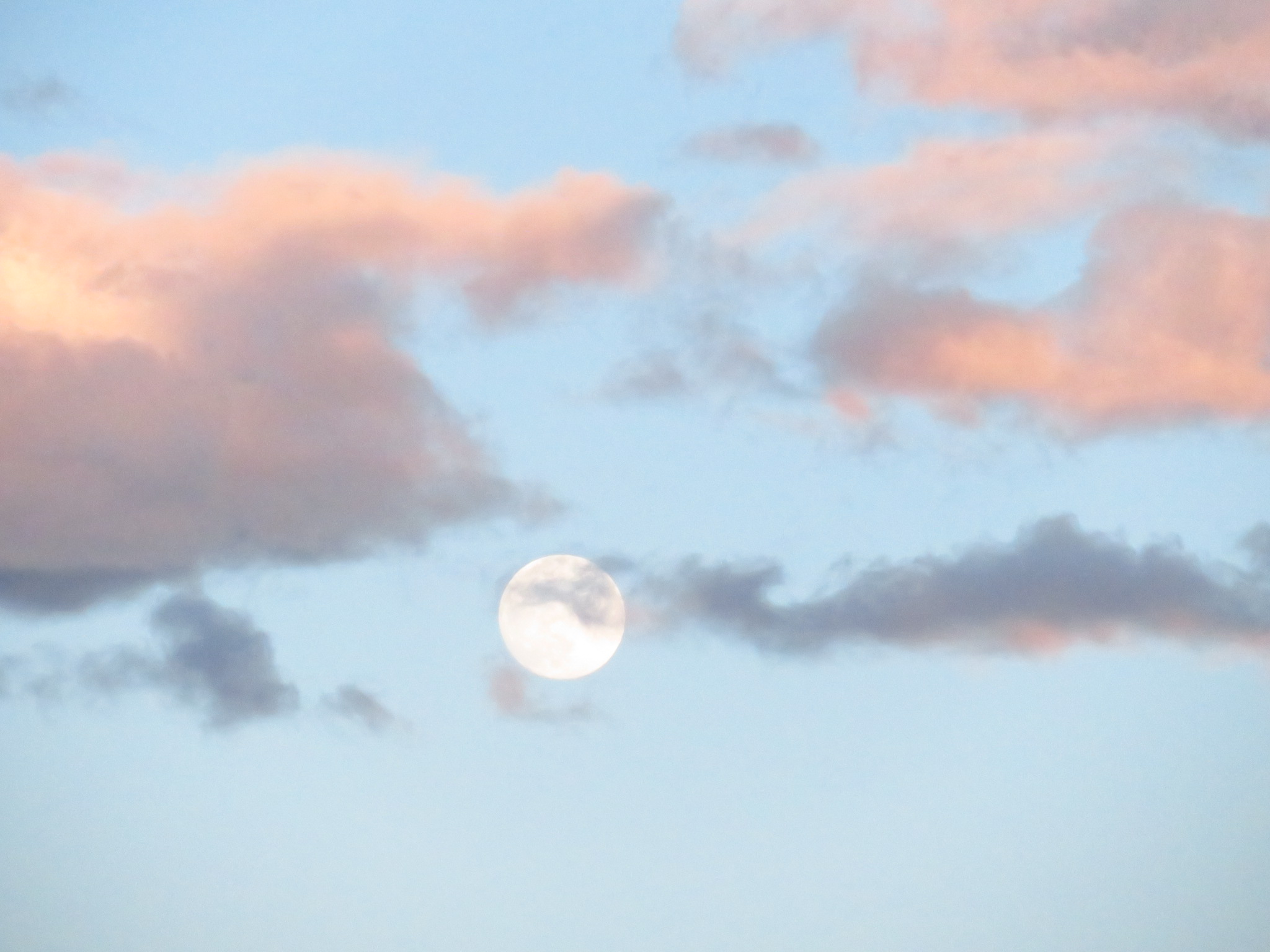 f:id:jerich:20190623090835j:image