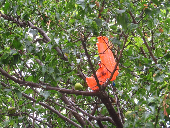 f:id:jerich:20190625222359j:plain