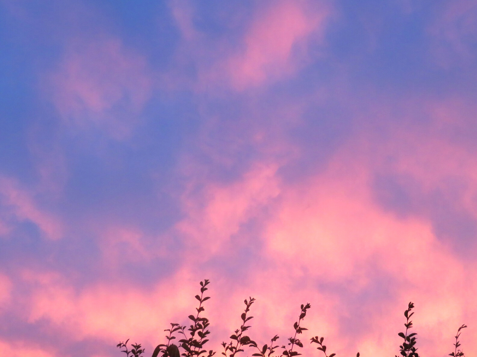 f:id:jerich:20190706212451j:image