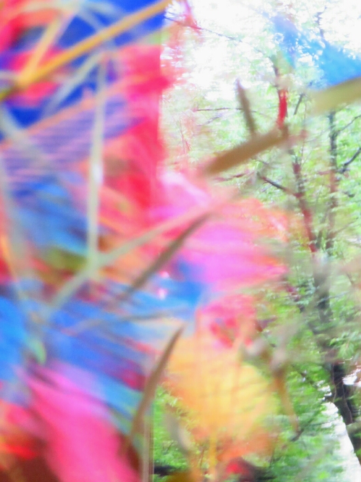 f:id:jerich:20190708011446j:plain f:id:jerich:20190708011446j:plain