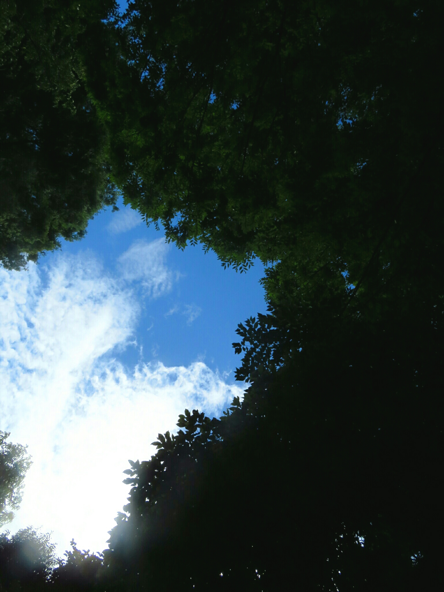 f:id:jerich:20190728070618j:image