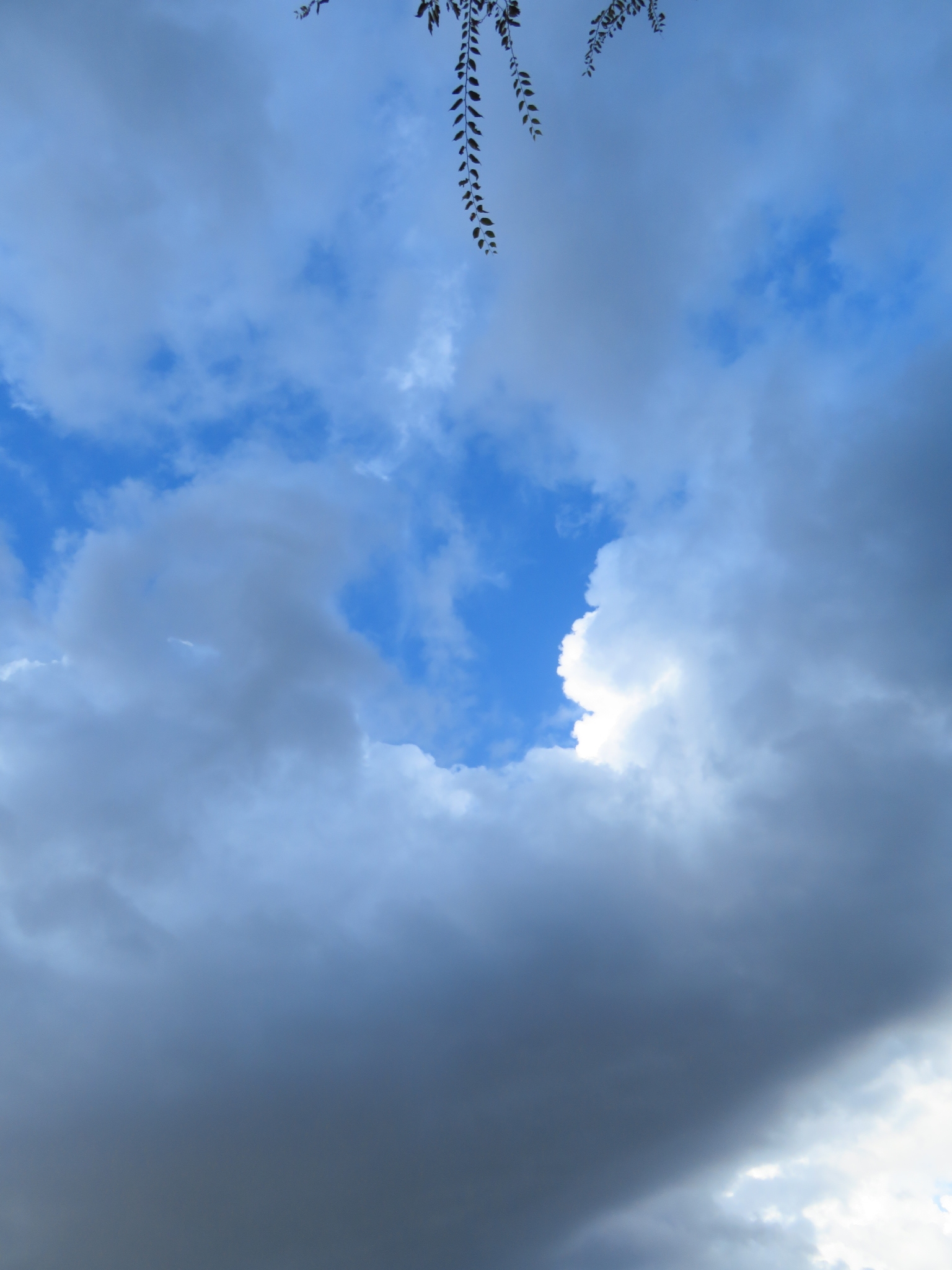 f:id:jerich:20191004234647j:image