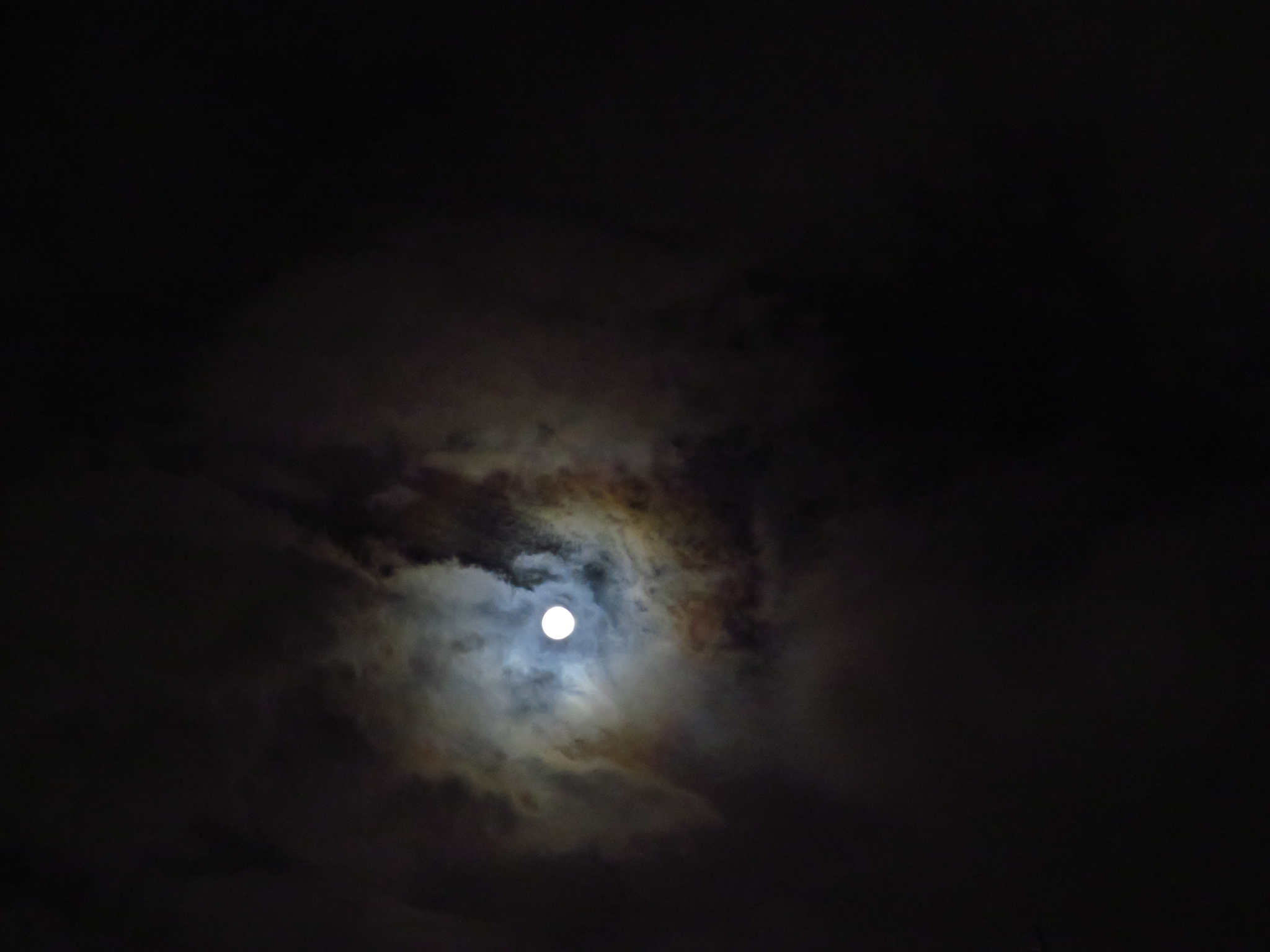 f:id:jerich:20191014153445j:image