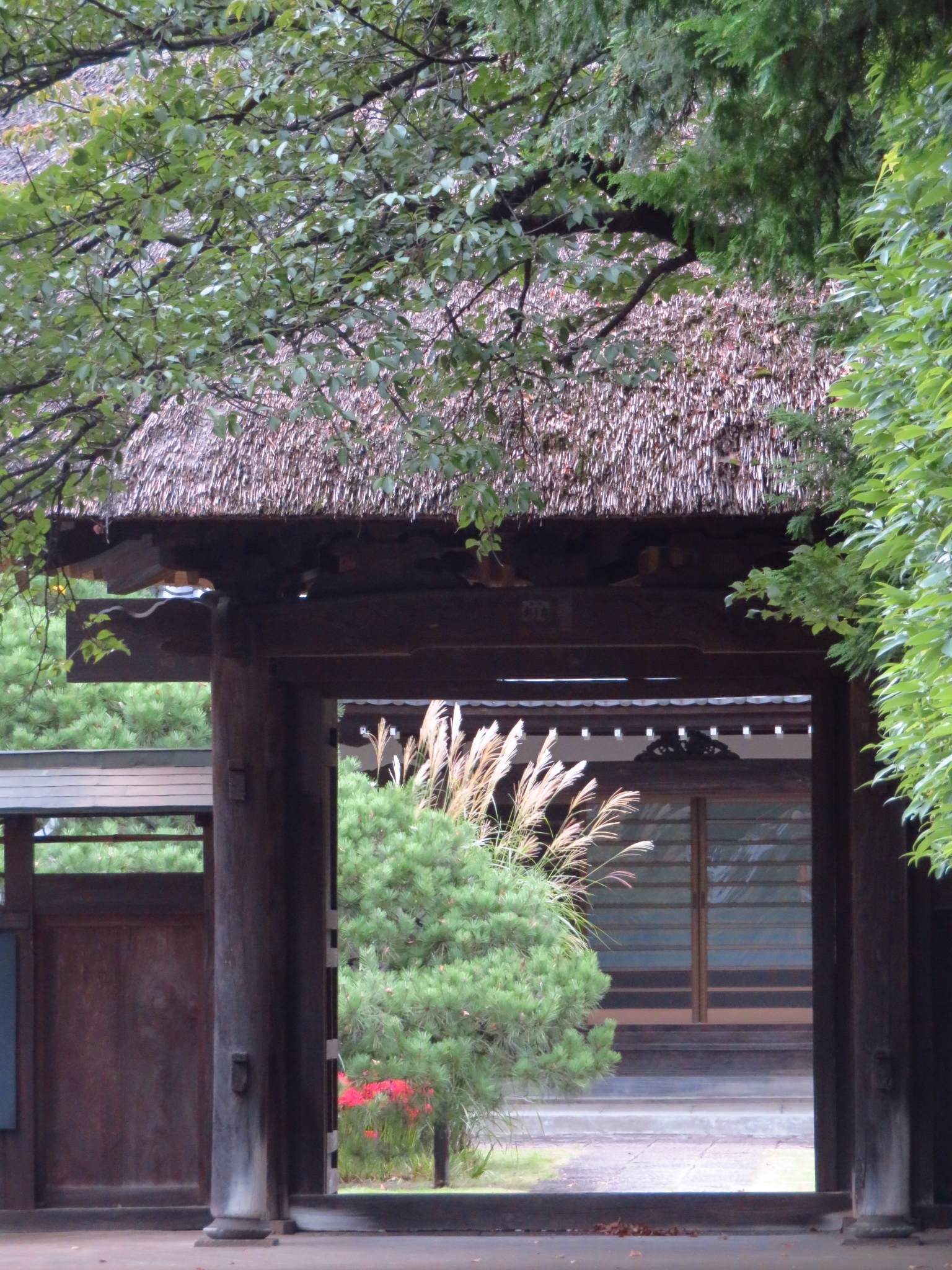 f:id:jerich:20200116003615j:image