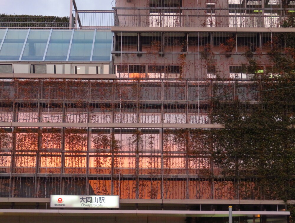 f:id:jerich:20200222022816j:plain