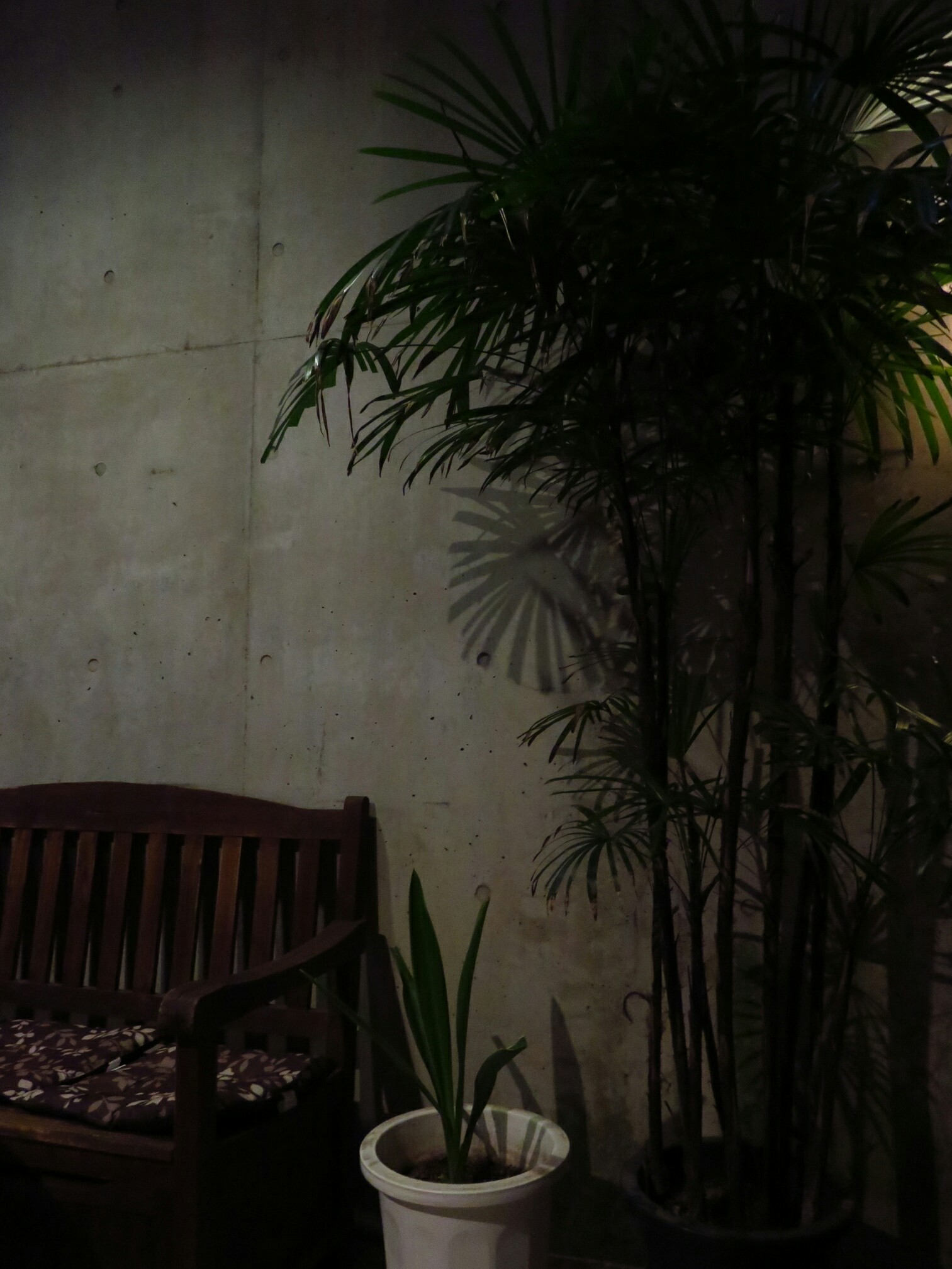 f:id:jerich:20200222025732j:image
