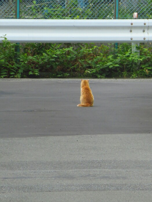 f:id:jerich:20200226190828j:plain