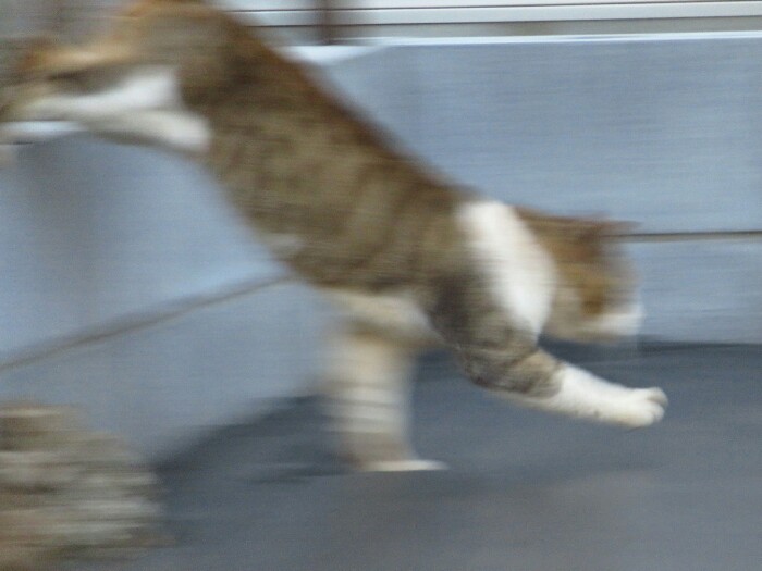 f:id:jerich:20200226195134j:plain