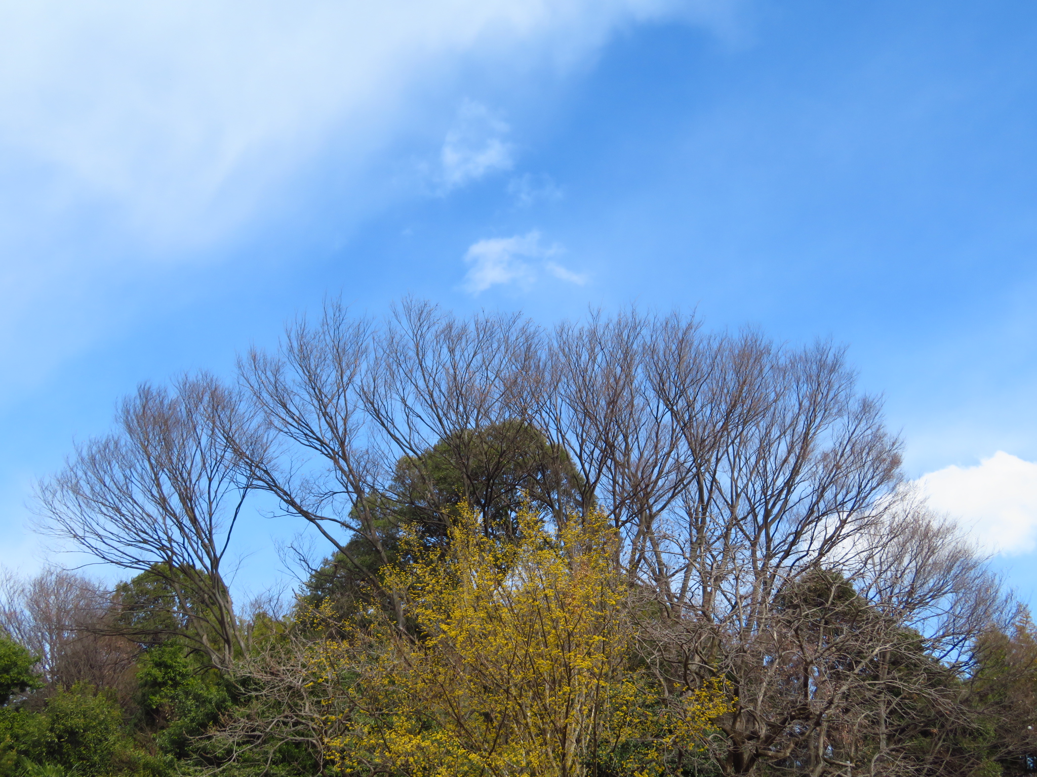 f:id:jerich:20200227121526j:image