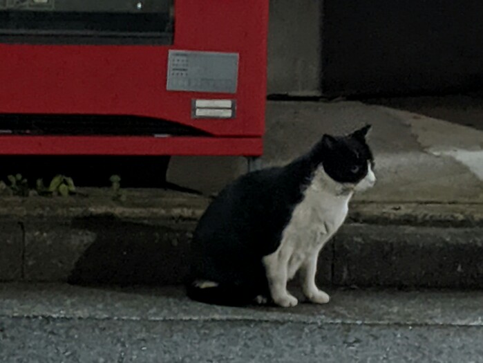 f:id:jerich:20200229211714j:plain