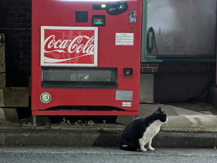 f:id:jerich:20200229212104j:plain