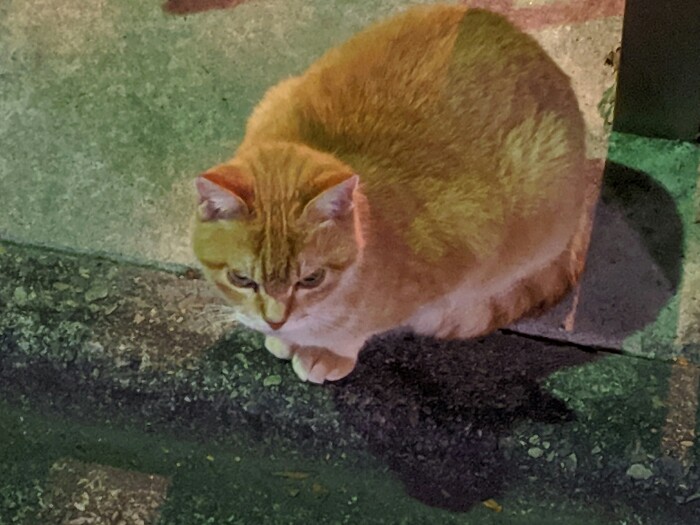 f:id:jerich:20200229214044j:plain