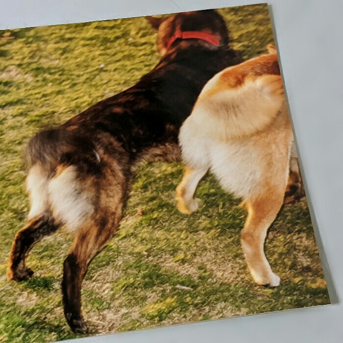 f:id:jerich:20200515234122j:plain f:id:jerich:20200515234122j:plain