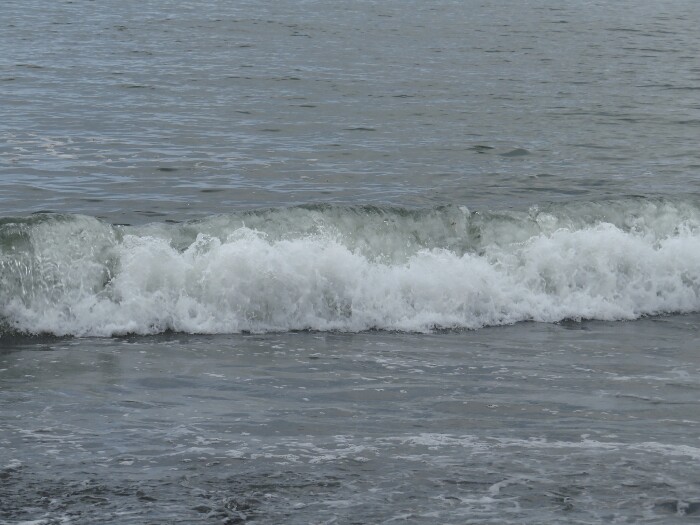 f:id:jerich:20200905235745j:plain