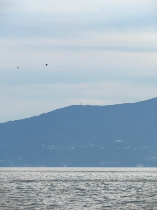 f:id:jerich:20200908231751j:plain