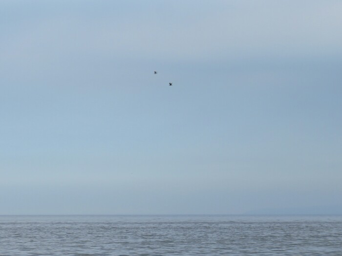 f:id:jerich:20200908233302j:plain