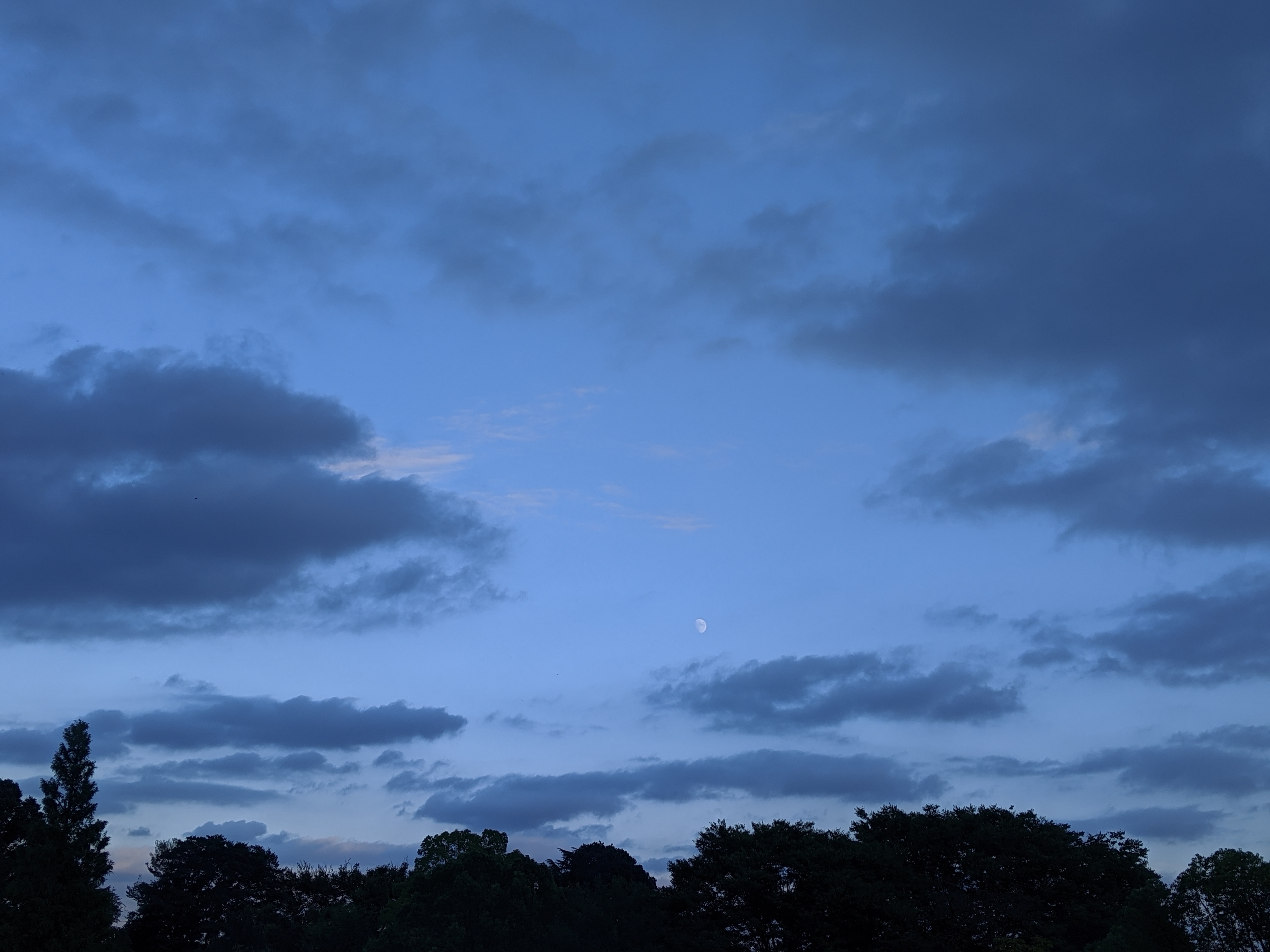 f:id:jerich:20201106122546j:image