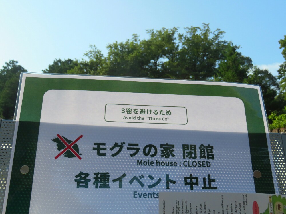 f:id:jerich:20201118092505j:plain