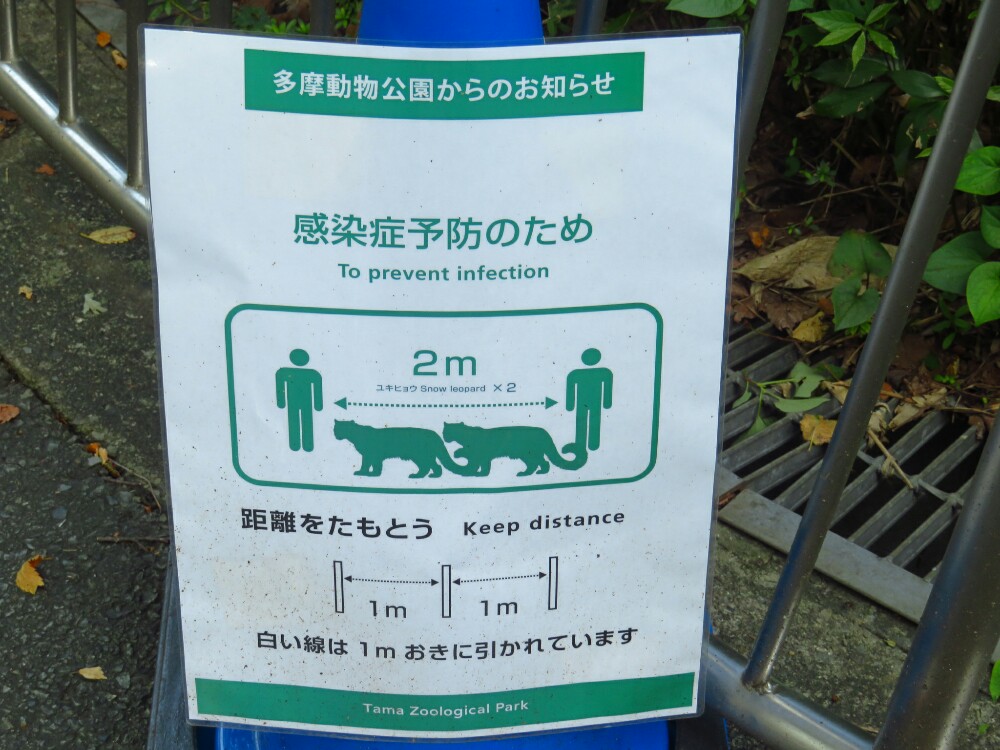 f:id:jerich:20201120082040j:plain