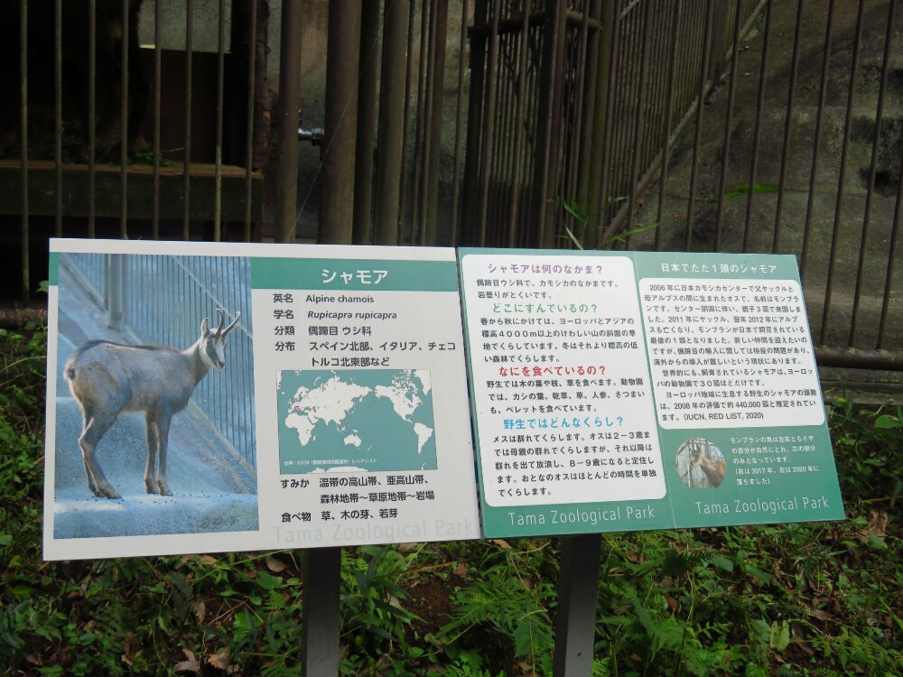 f:id:jerich:20201122093044j:plain