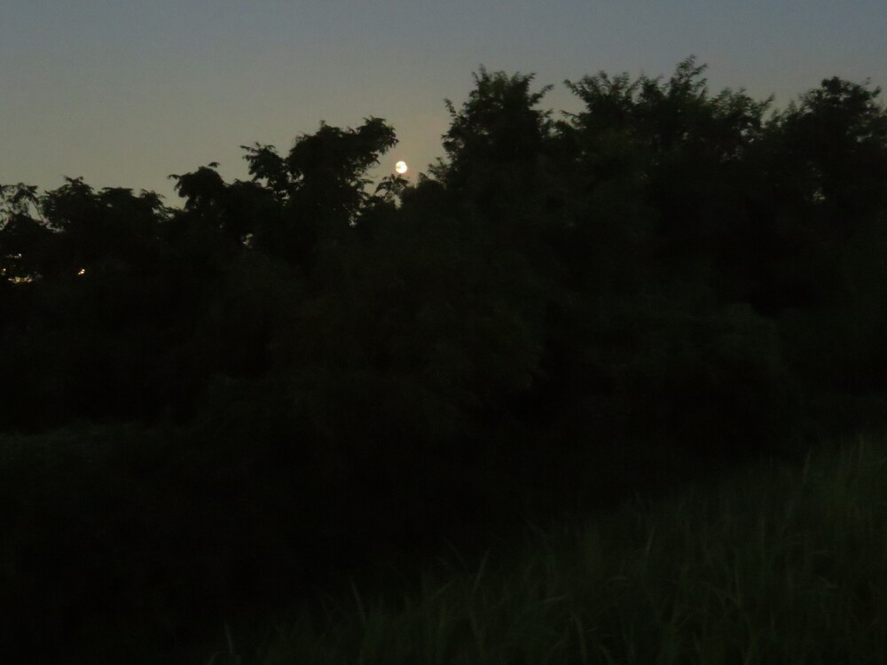 f:id:jerich:20201208091805j:plain