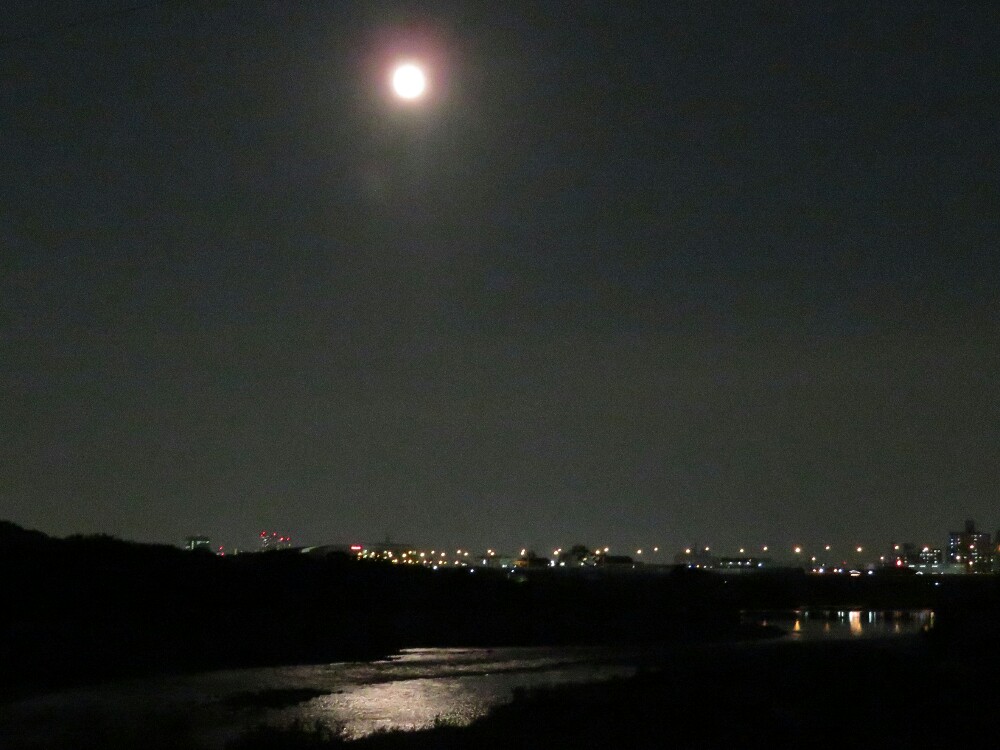 f:id:jerich:20201208234543j:plain