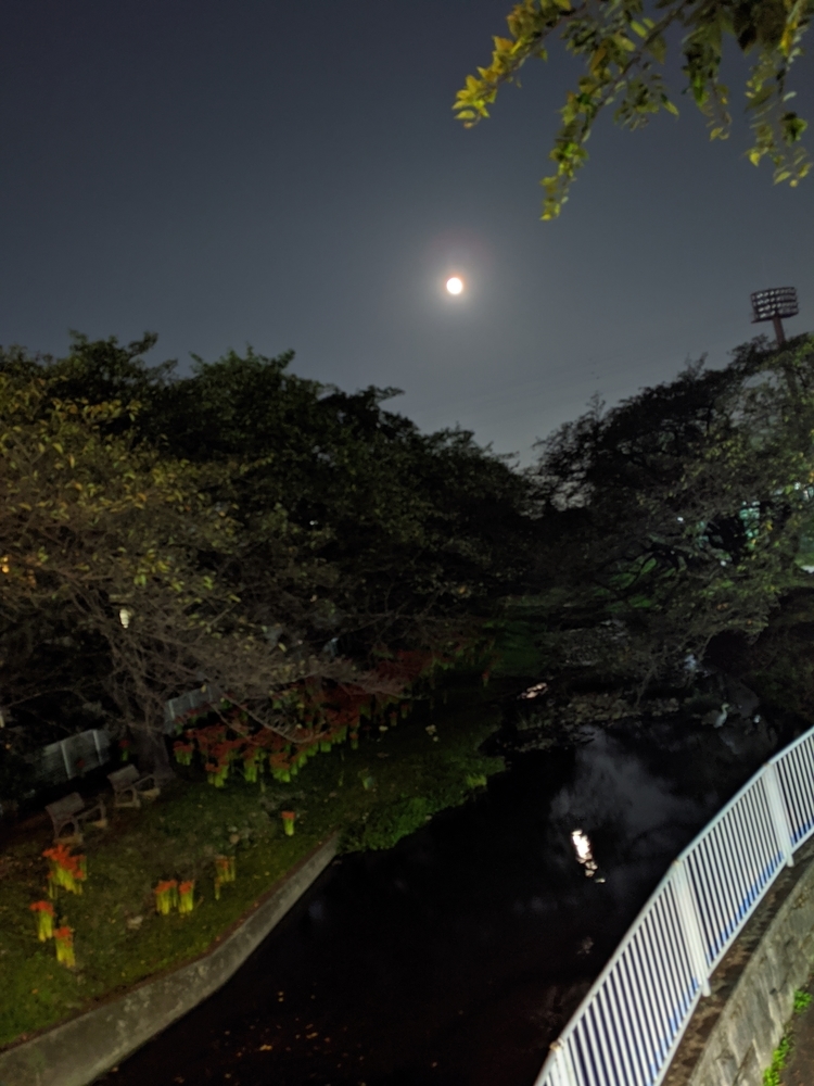 f:id:jerich:20201209195743j:plain