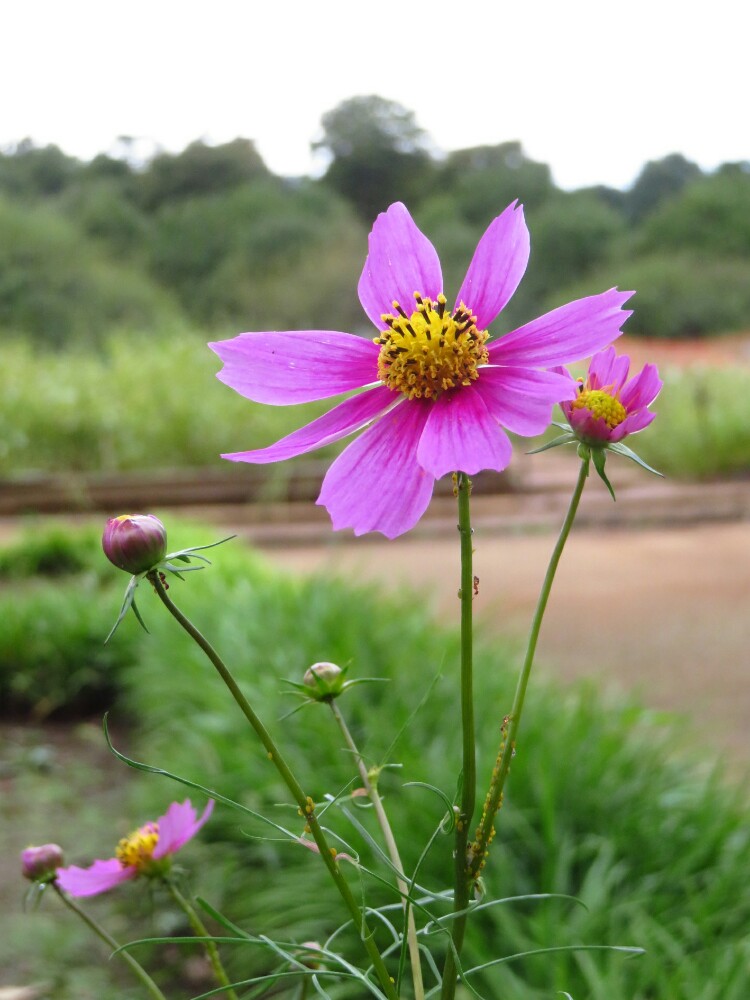 f:id:jerich:20201221092607j:plain