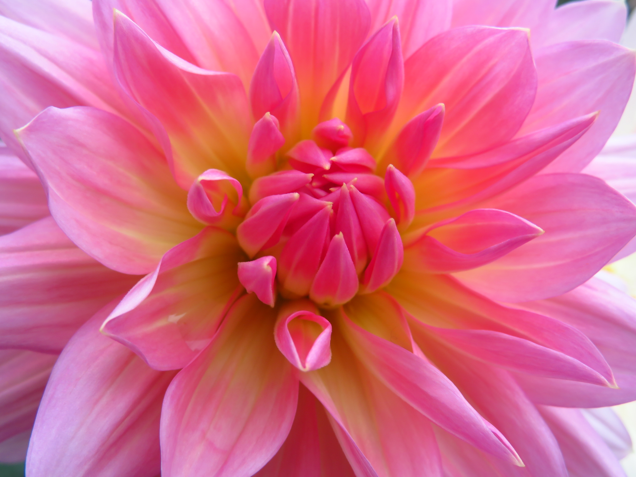 f:id:jerich:20201223090526j:image