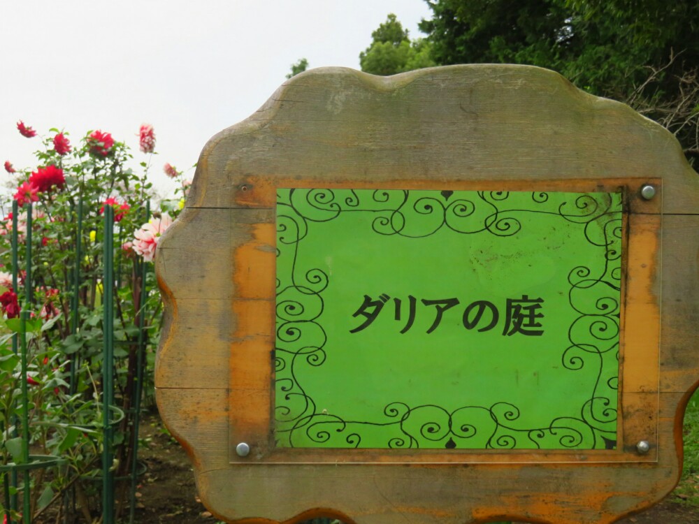 f:id:jerich:20201223125142j:plain