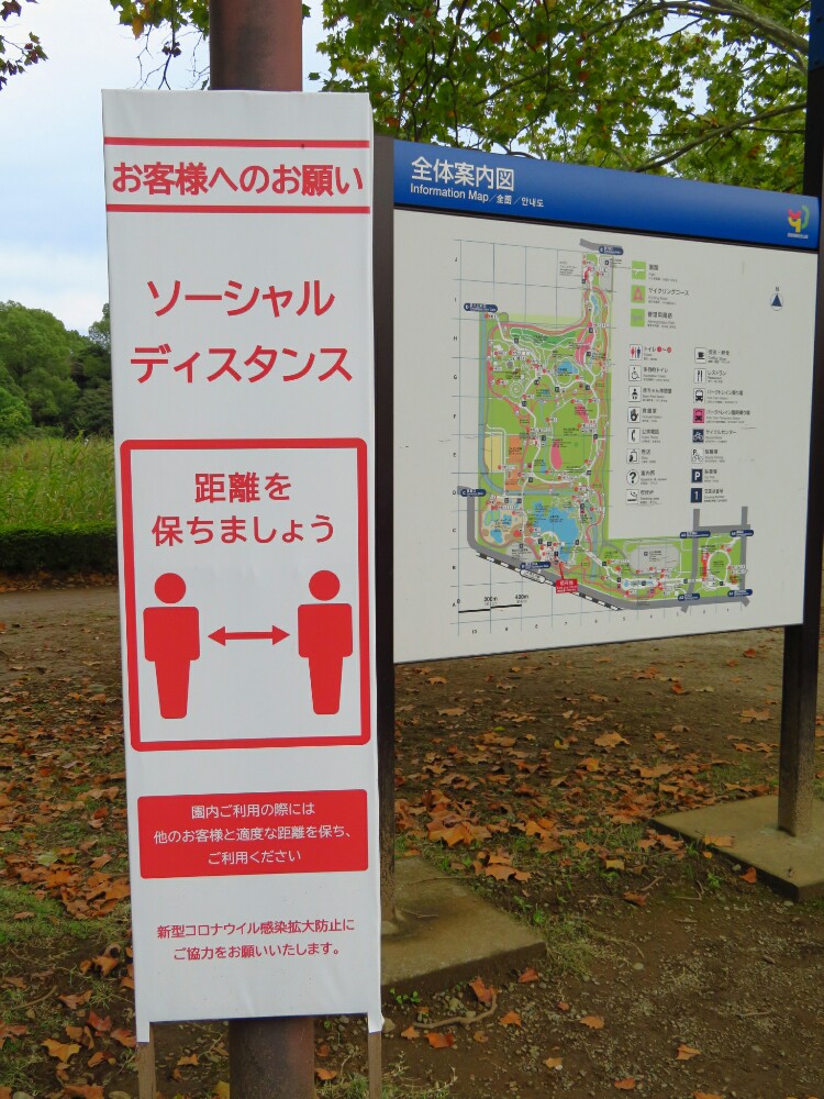 f:id:jerich:20201224092410j:plain