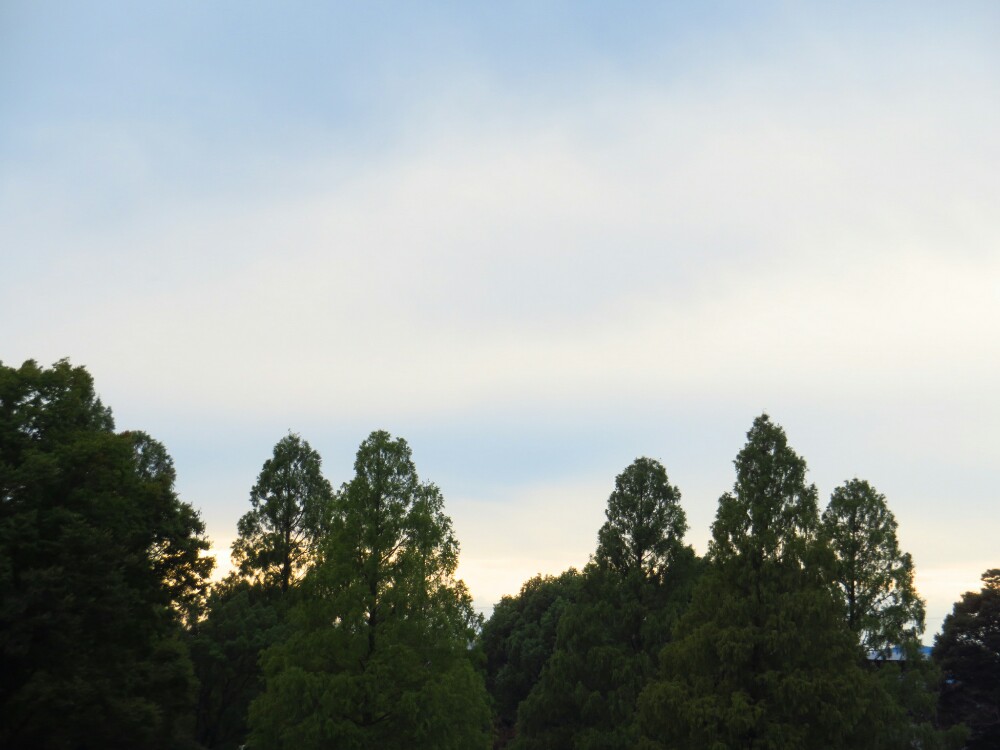 f:id:jerich:20201224124457j:plain