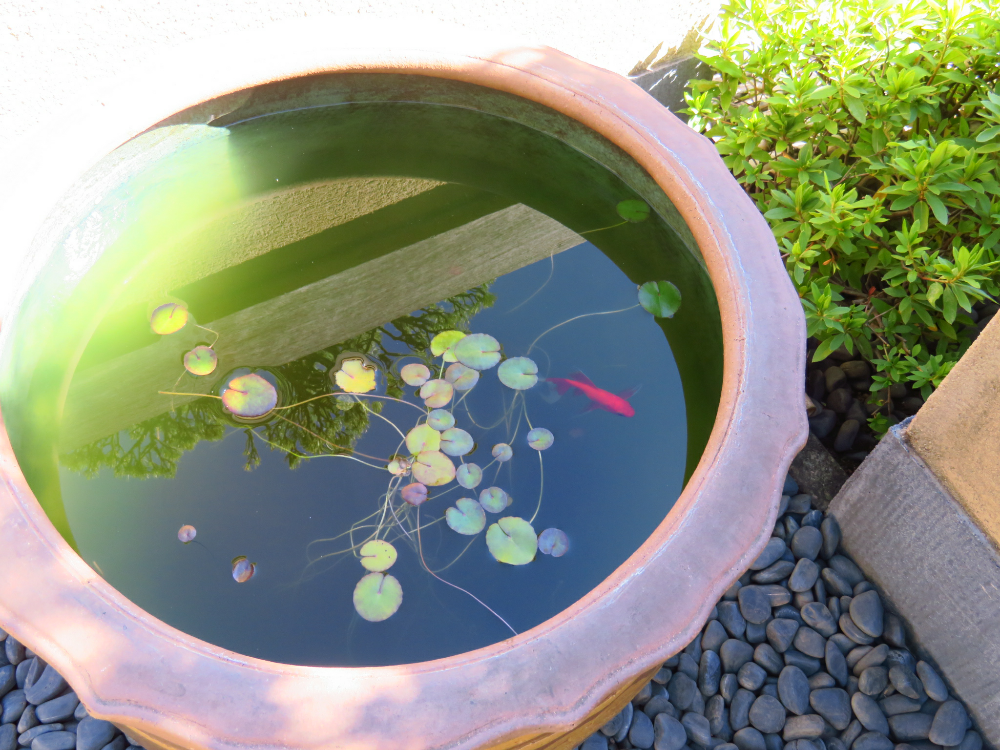 f:id:jerich:20210114123529p:plain