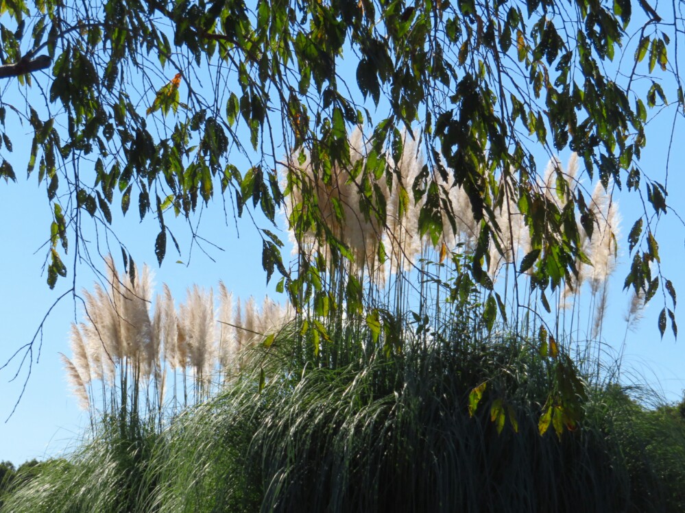 f:id:jerich:20210117235401j:plain